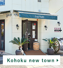 Kohoku new town